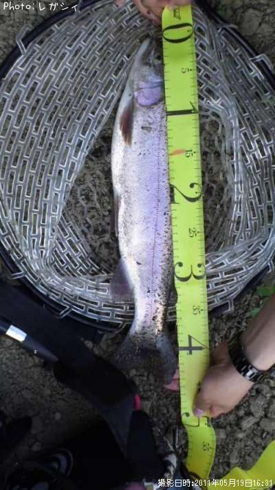 �쥤��ܡ��ȥ饦��