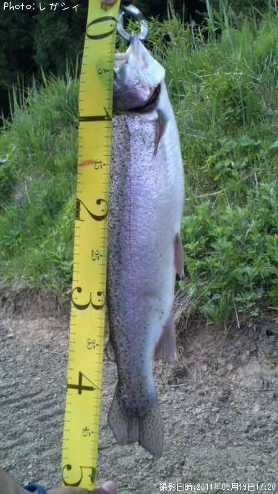 �쥤��ܡ��ȥ饦��