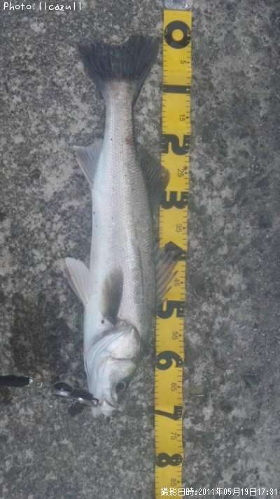 �����Х�