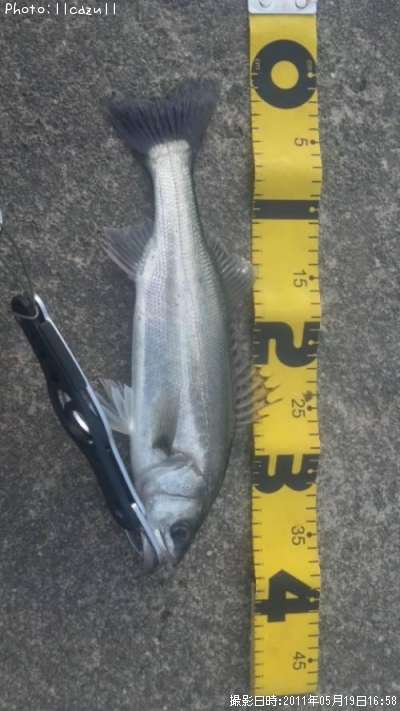 �����Х�