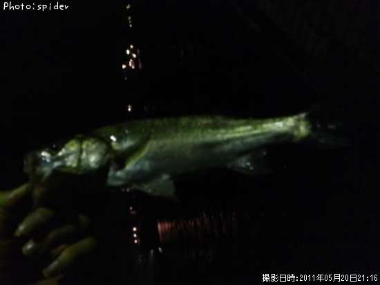 �����Х�