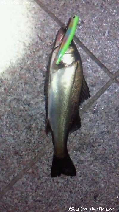 �����Х�