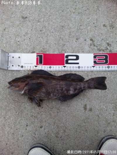 �����ʥ�