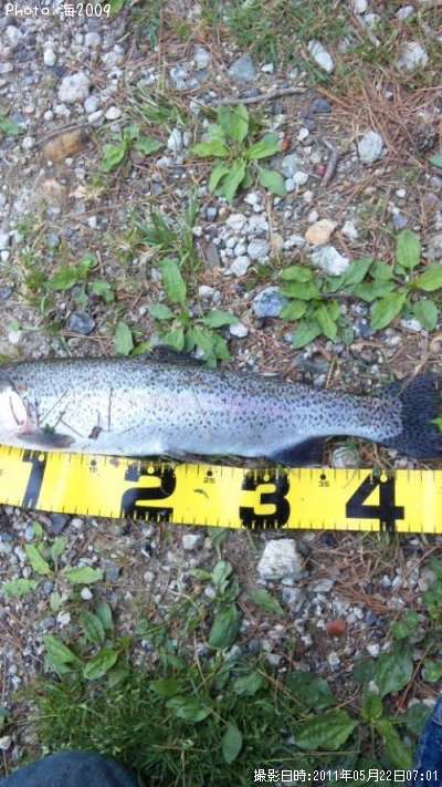 �쥤��ܡ��ȥ饦��