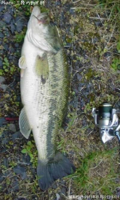 �֥�å��Х�