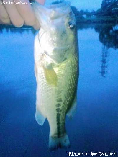 �֥�å��Х�