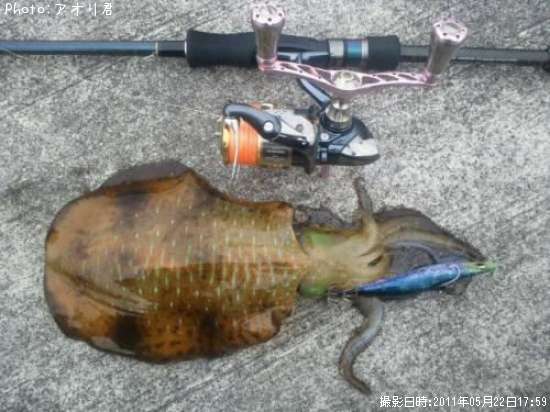 �����ꥤ��