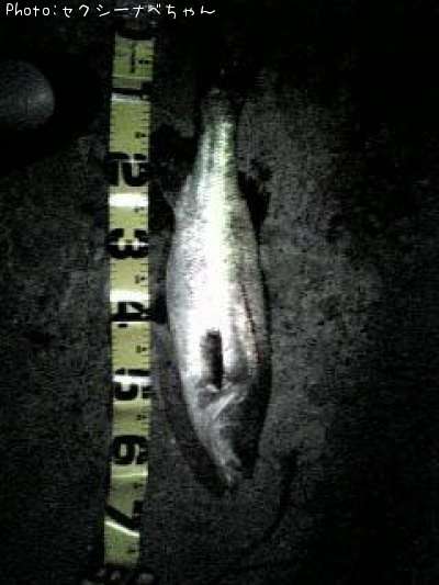 �����Х�