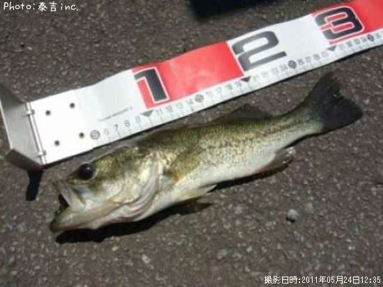 �֥�å��Х�