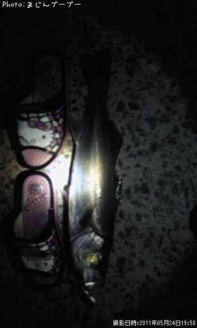 �����Х�