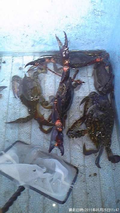 ���ˤ���