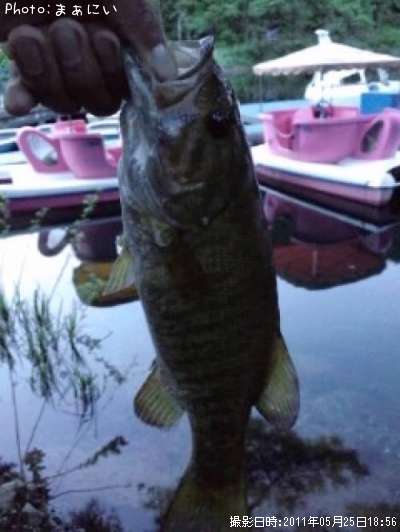 �֥�å��Х�