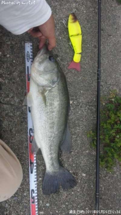 �֥�å��Х�