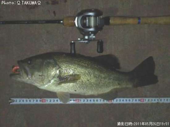 �֥�å��Х�