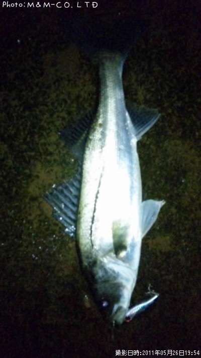 �����Х�