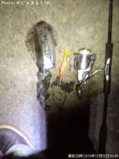 �����ꥤ��