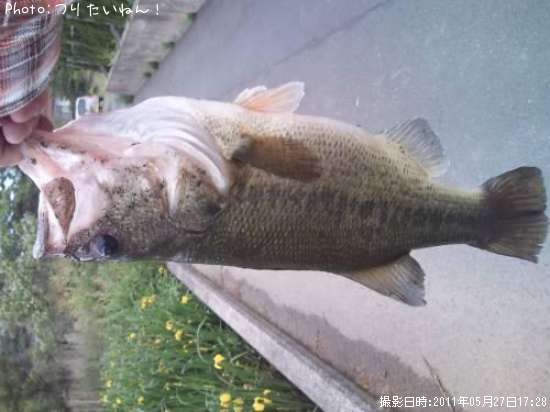 �֥�å��Х�