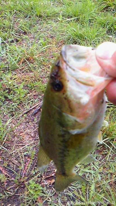 �֥�å��Х�