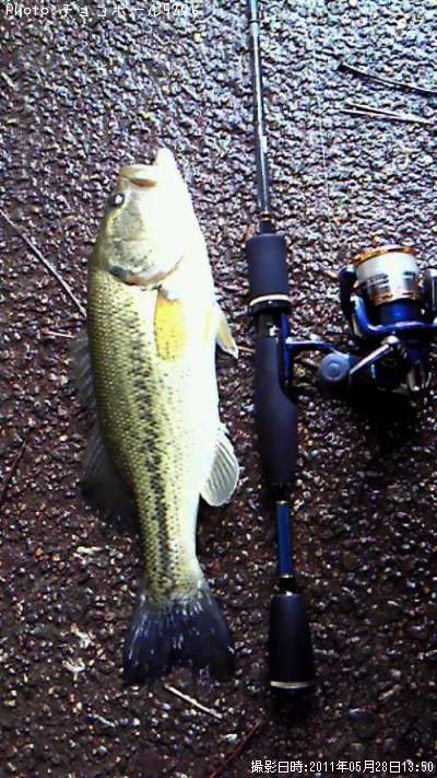 �֥�å��Х�