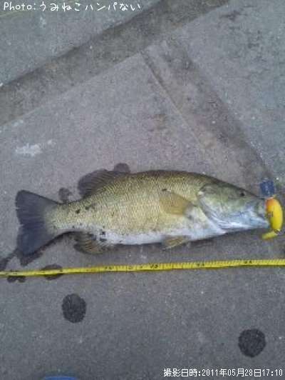 �֥�å��Х�