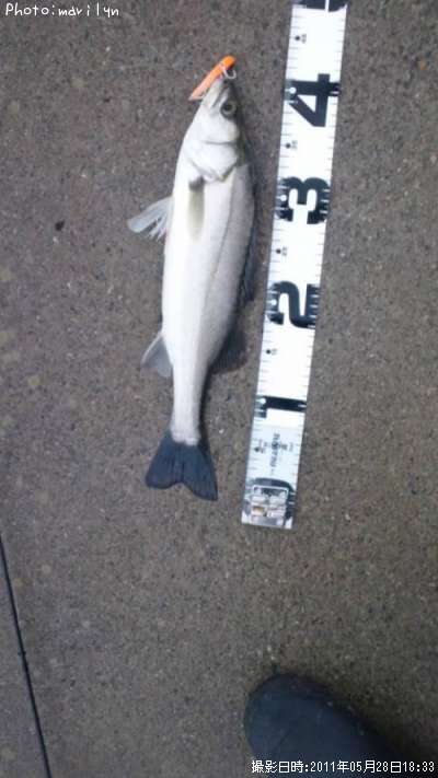 �����Х�