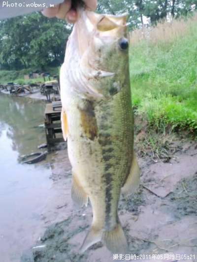 �֥�å��Х�