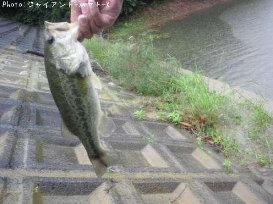 �֥�å��Х�