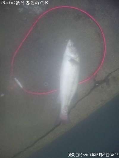 �����Х�