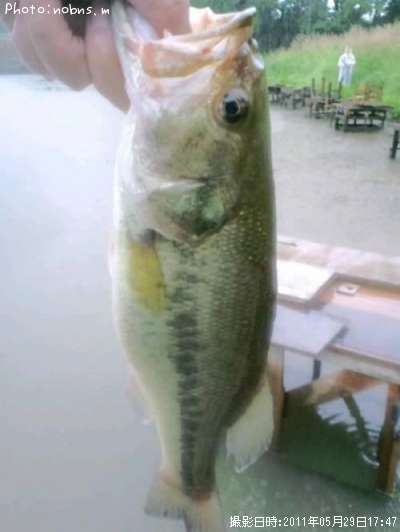 �֥�å��Х�