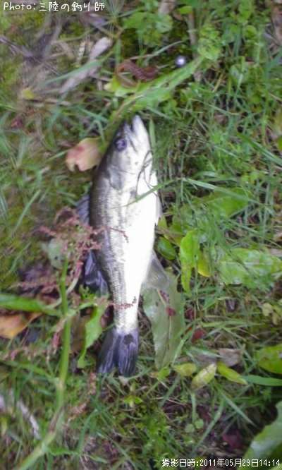 �֥�å��Х�