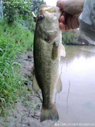 �֥�å��Х�