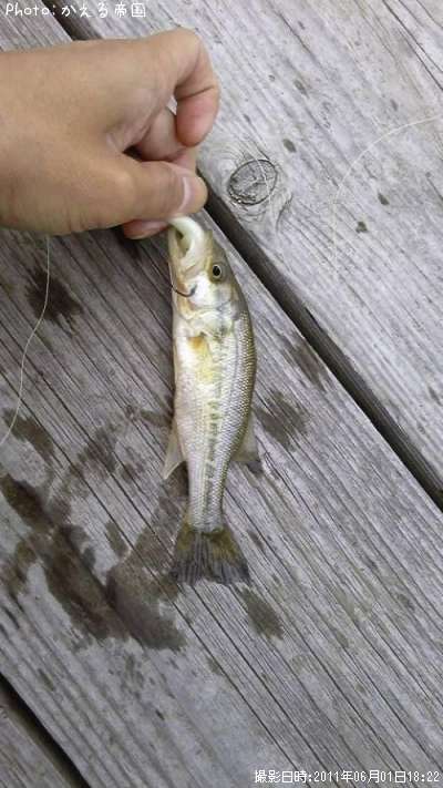 �֥�å��Х�