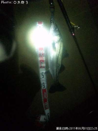 �����Х�