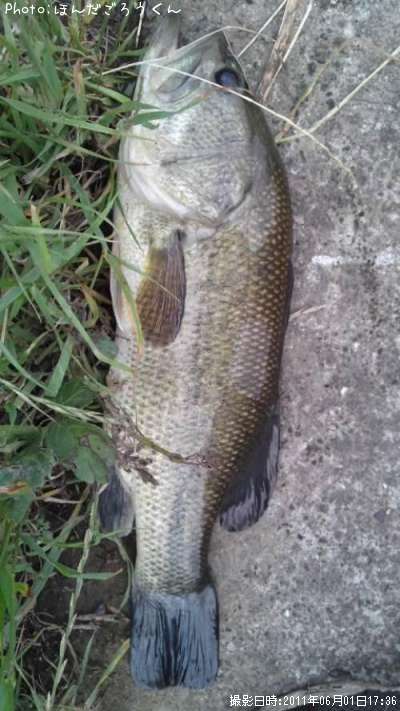 �֥�å��Х�