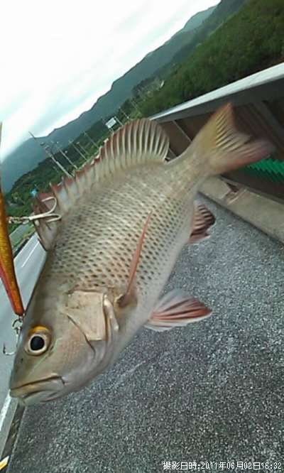 ���ޥե�����