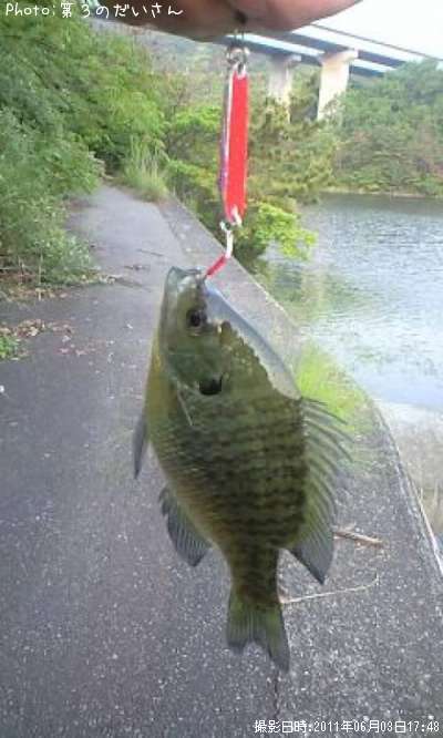 �֥롼����