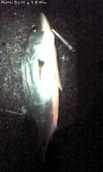 �����Х�