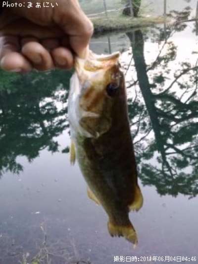 �֥�å��Х�