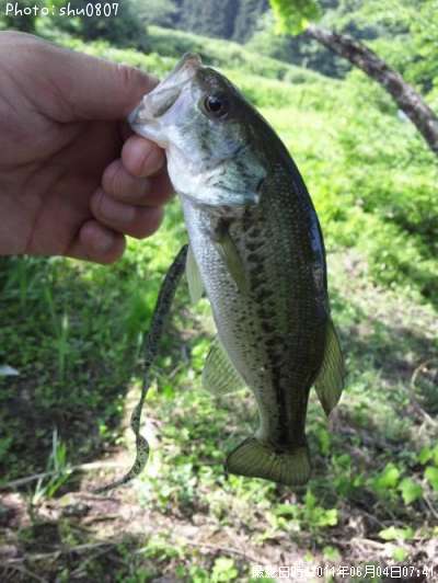 �֥�å��Х�