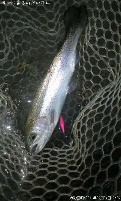 �쥤��ܡ��ȥ饦��