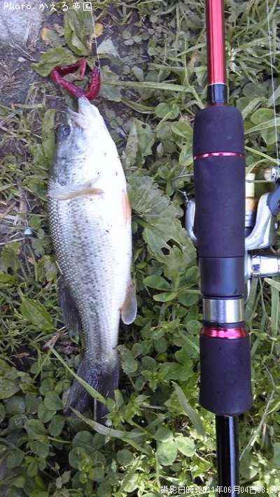 �֥�å��Х�