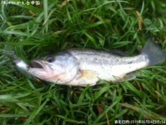 �֥�å��Х�