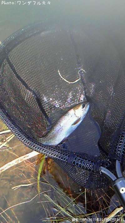 �쥤��ܡ��ȥ饦��