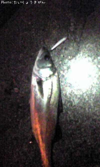 �����Х�