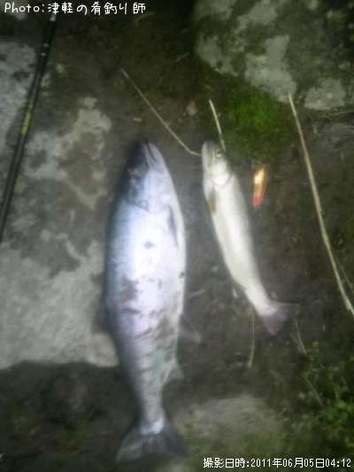 ������ޥ�