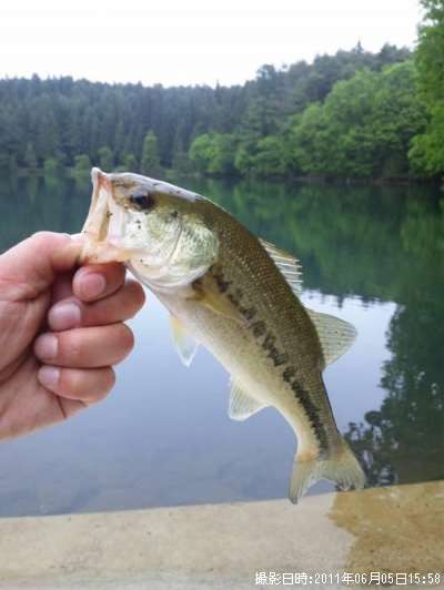 �֥�å��Х�