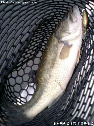 �֥�å��Х�