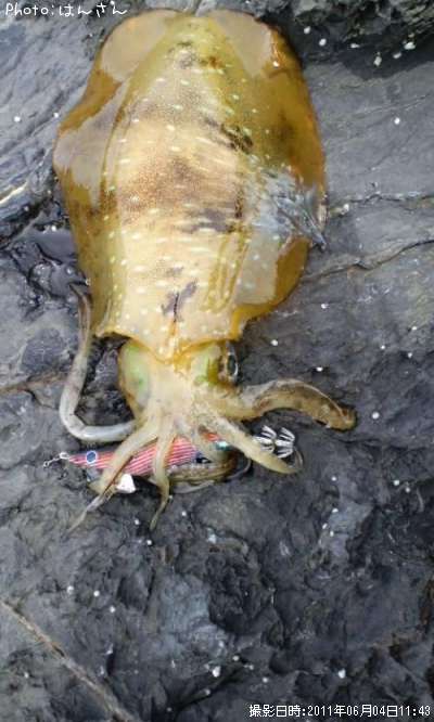 �����ꥤ��