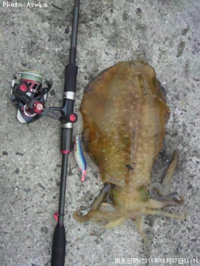 �����ꥤ��