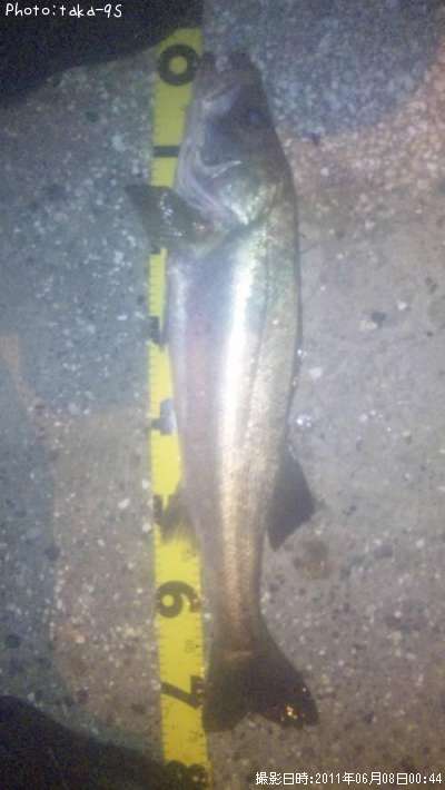 �����Х�